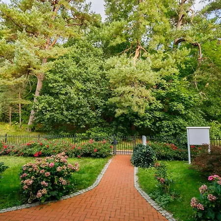 Sonnenblume By Interhome Lägenhet Zempin