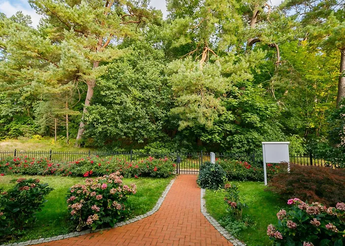 Sonnenblume By Interhome 公寓 泽姆平