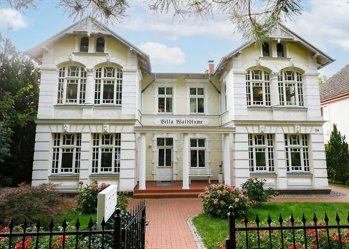 Sonnenblume By Interhome